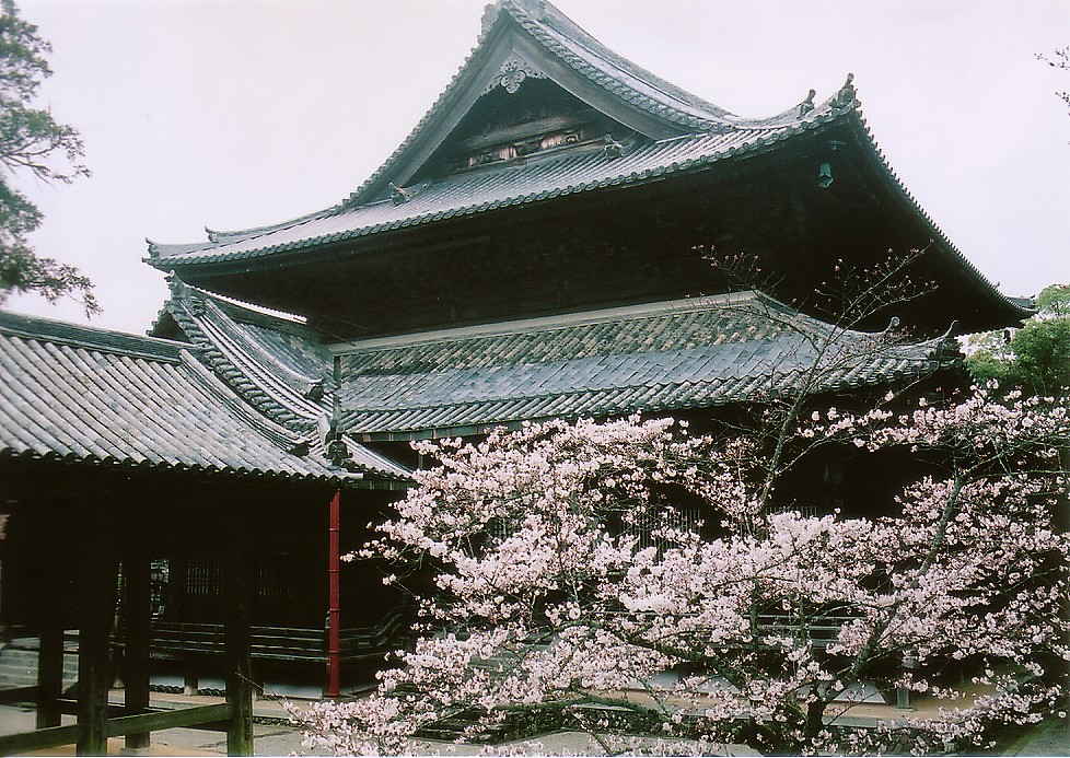 CIMG0001.jpg