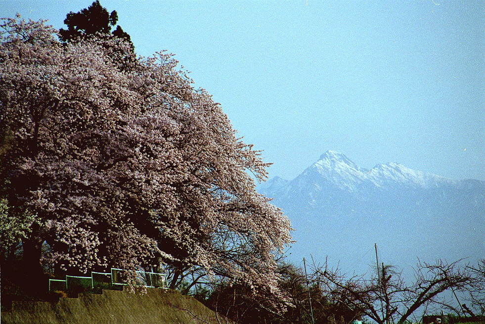 CIMG0004.jpg