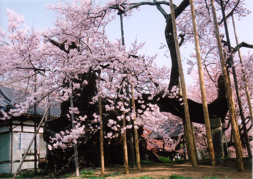 CIMG0007.jpg