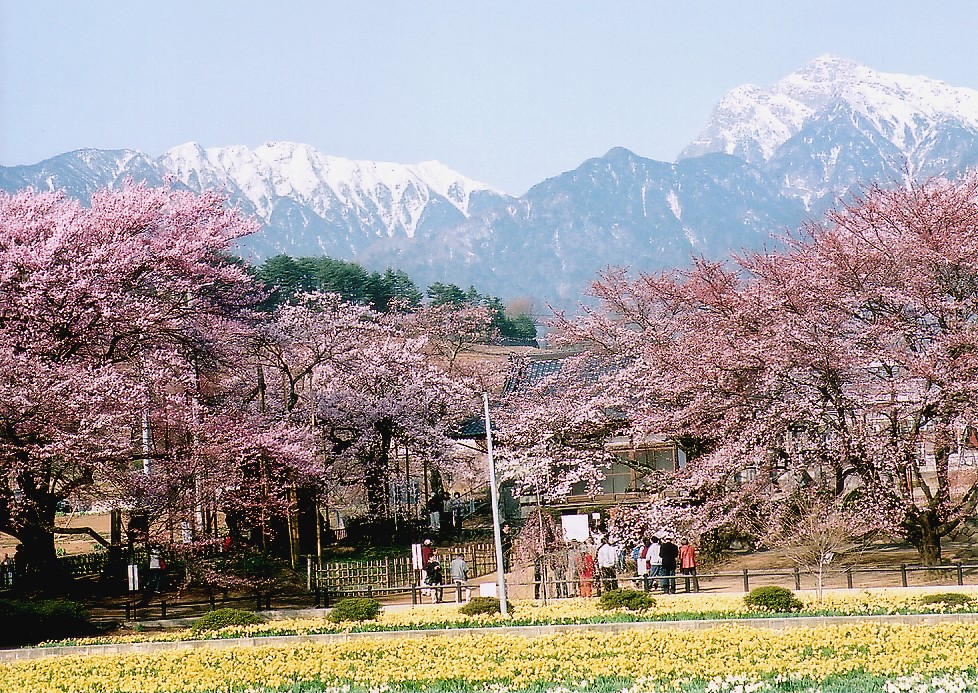 CIMG0008.jpg