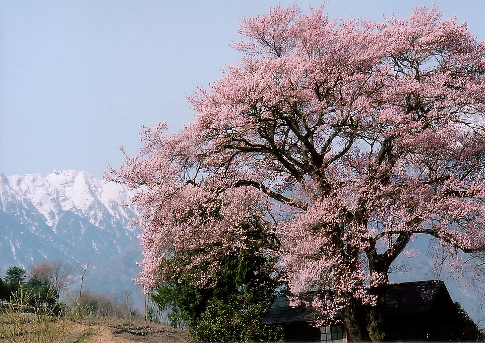 CIMG0009.jpg
