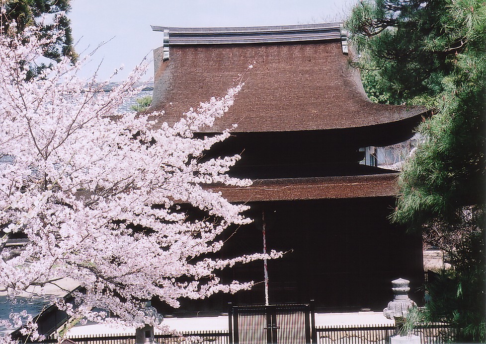 CIMG0013.jpg