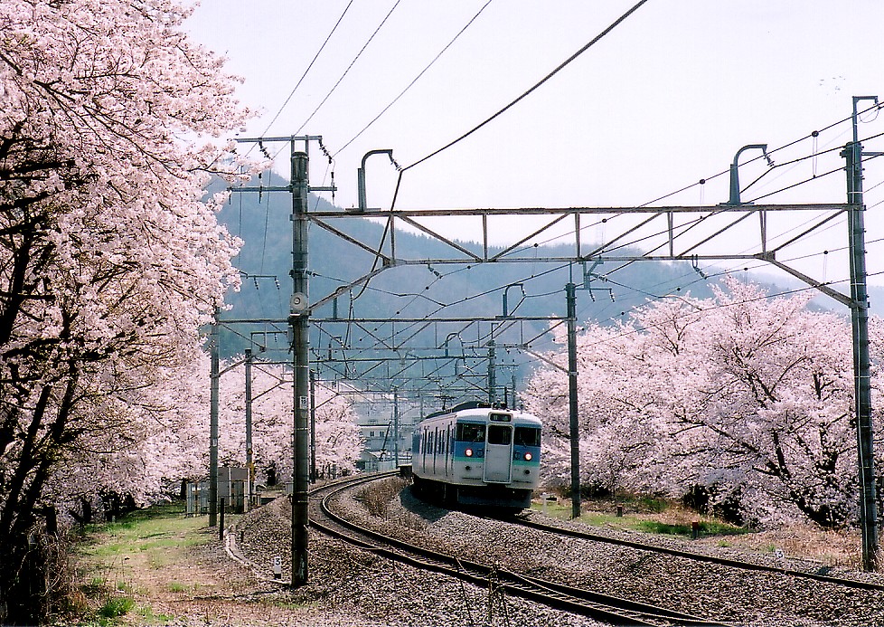CIMG0014.jpg