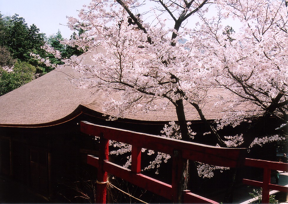 CIMG0015.jpg