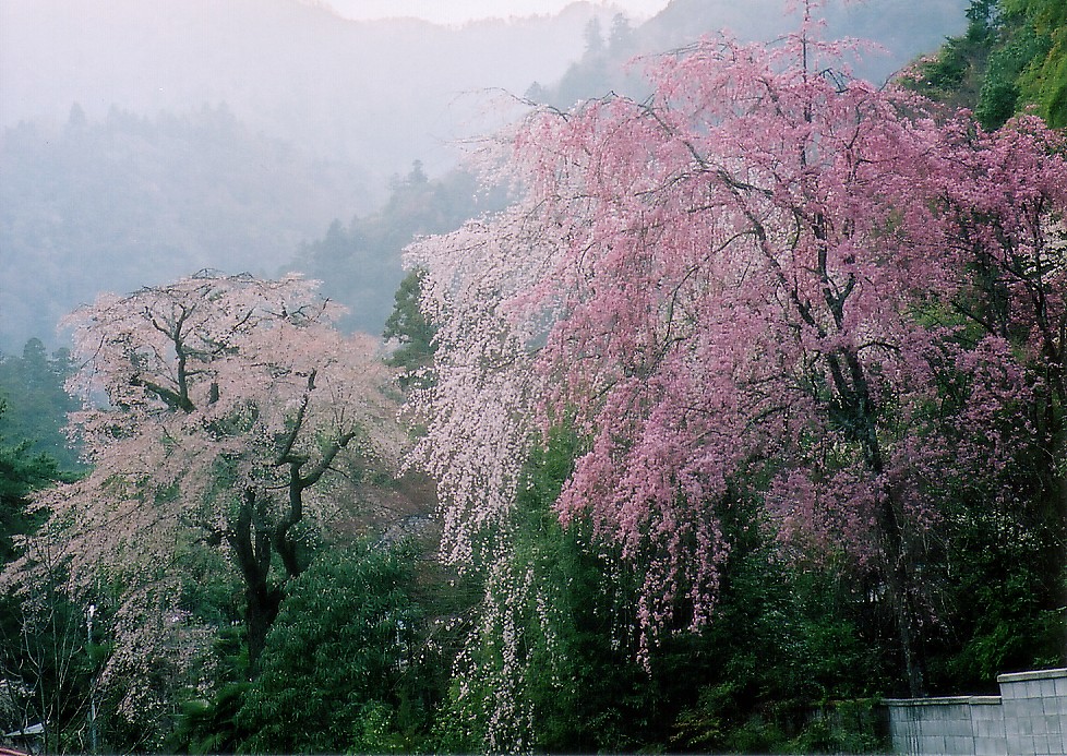 CIMG0018.jpg