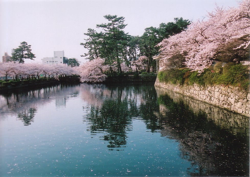 CIMG0021.jpg