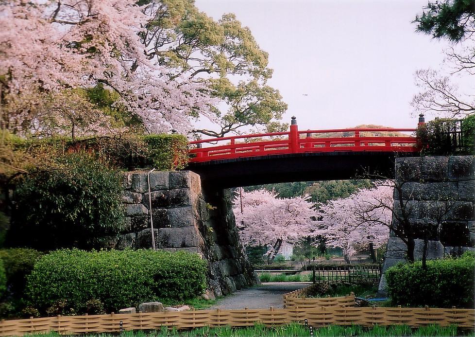 CIMG0022.jpg