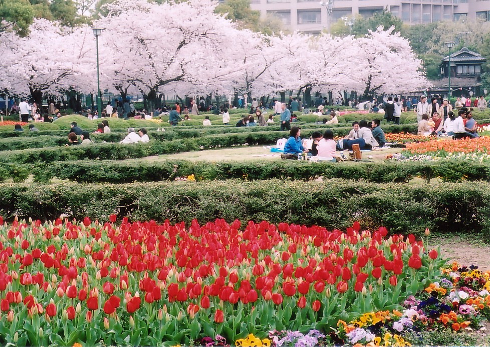 CIMG0025.jpg