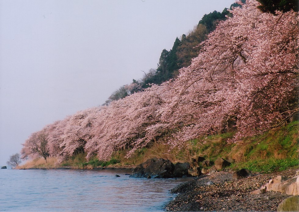 CIMG0028.jpg