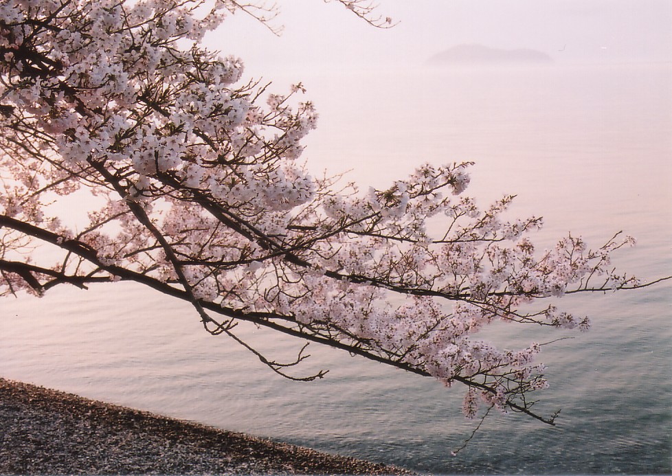 CIMG0029.jpg