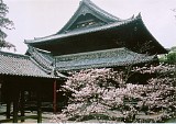 CIMG0001