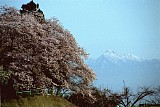 CIMG0004