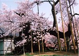 CIMG0007