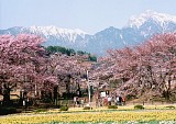 CIMG0008