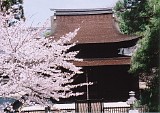 CIMG0013