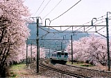CIMG0014