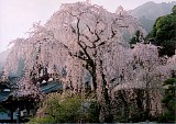 CIMG0017