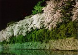 CIMG0020