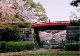 CIMG0022