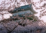 CIMG0023