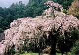 CIMG0024
