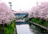CIMG0026