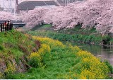 CIMG0027