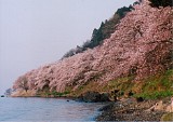 CIMG0028