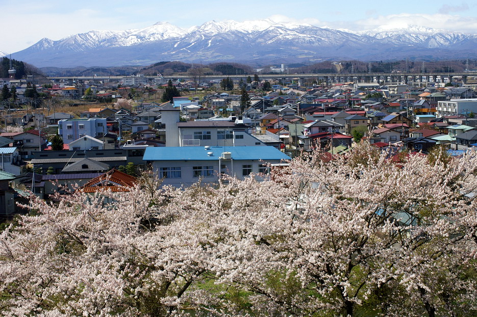 CIMG0007.jpg