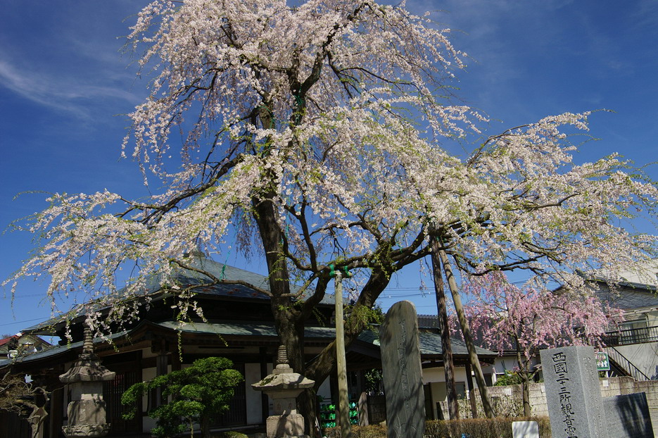 CIMG0015.jpg