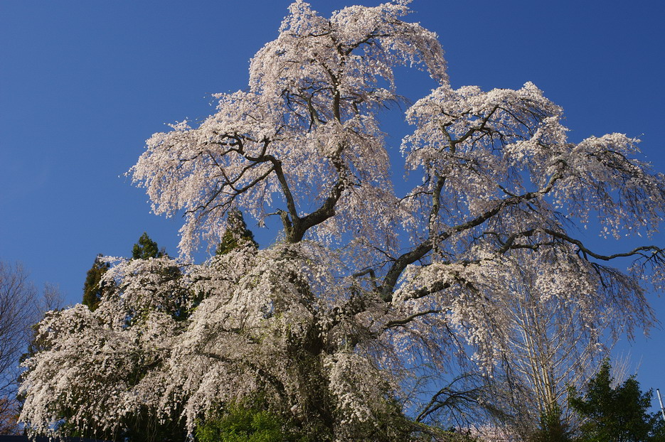 CIMG0018.jpg