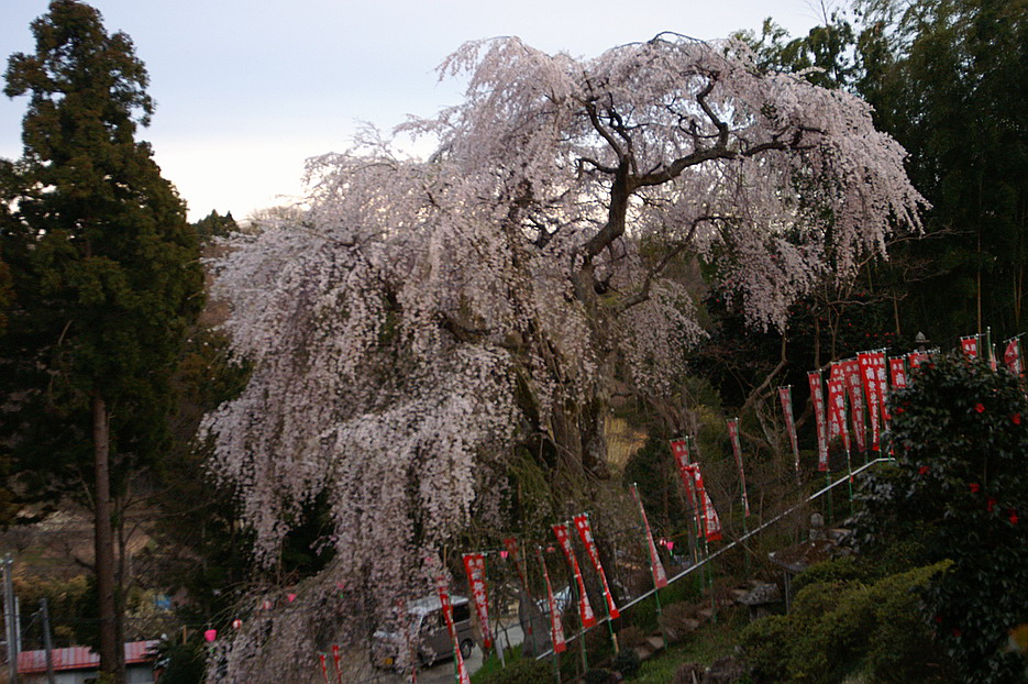 CIMG0021.jpg