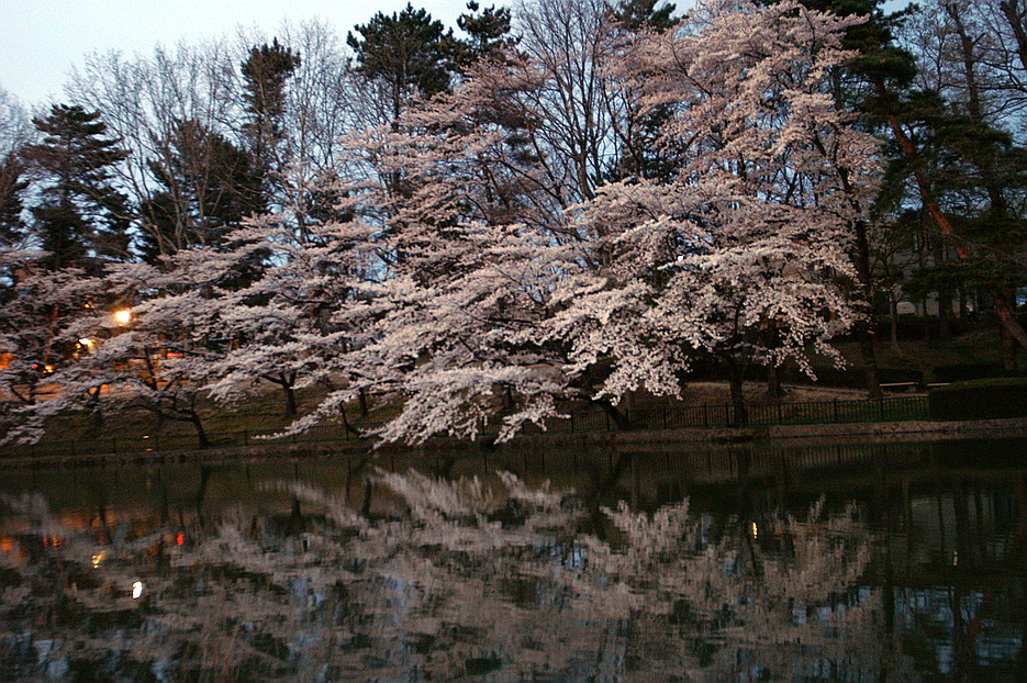 CIMG0022.jpg