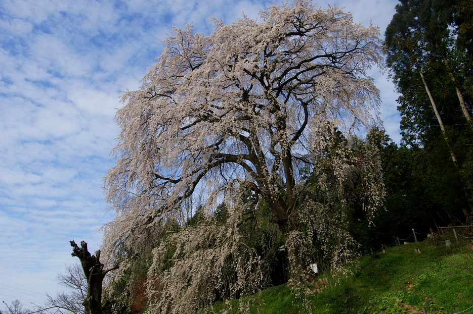 CIMG0032.jpg