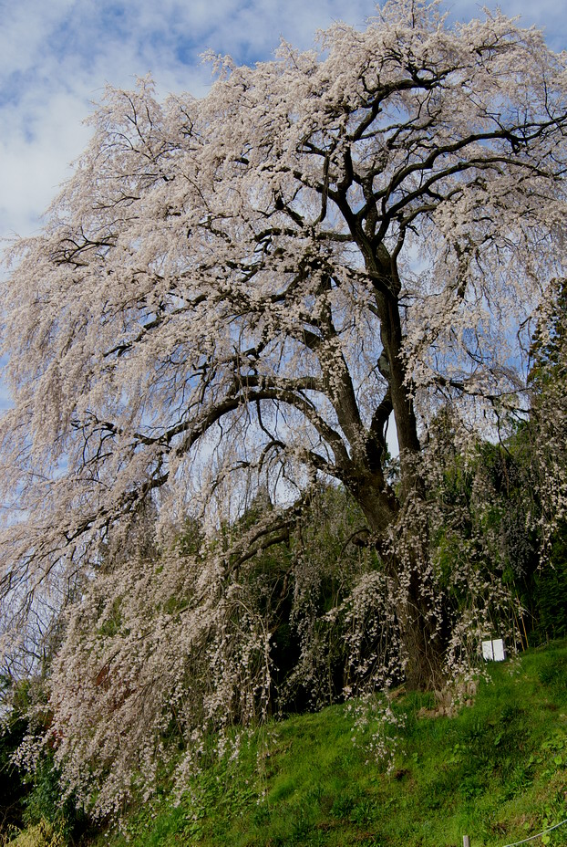 CIMG0033.jpg