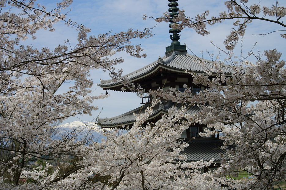 CIMG0038.jpg