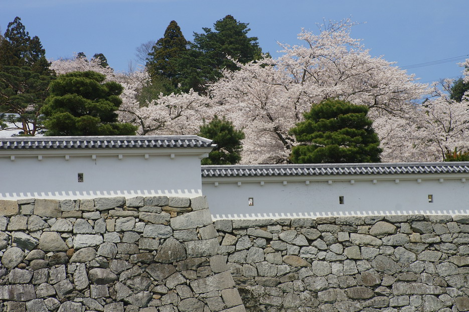 CIMG0051.jpg