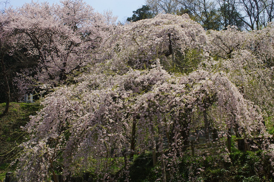 CIMG0053.jpg