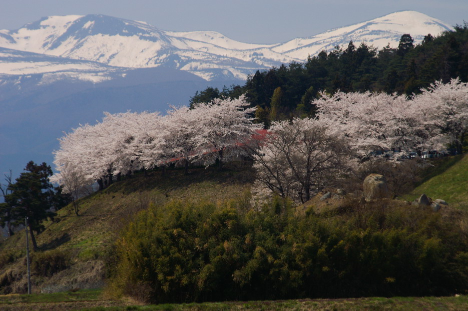 CIMG0054.jpg