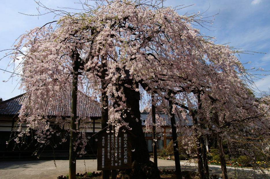 CIMG0055.jpg