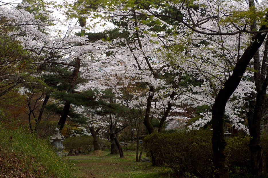 CIMG0065.jpg