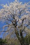 CIMG0001