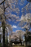 CIMG0003