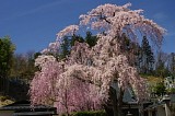CIMG0006