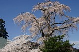 CIMG0014