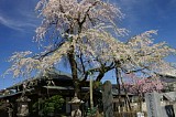 CIMG0015