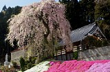 CIMG0017