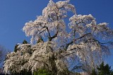 CIMG0018