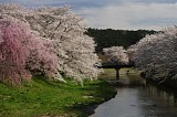 CIMG0019