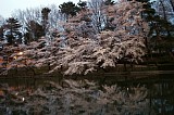 CIMG0022